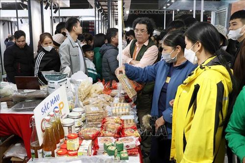 Khai mạc Hội chợ 'Công Thương khu vực Đông Bắc - Thái Nguyên 2024'