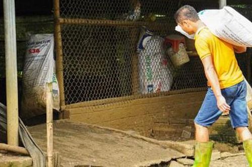 Mạnh dạn nuôi con 'dân nhậu thích mê', anh nông dân bỏ túi 300 triệu/năm rất nhẹ nhàng