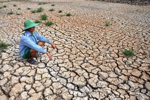 Hơn 70% bờ biển Cà Mau đang bị sạt lở ở mức nguy hiểm và đặc biệt nguy hiểm