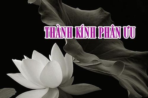 LỜI CHIA BUỒN