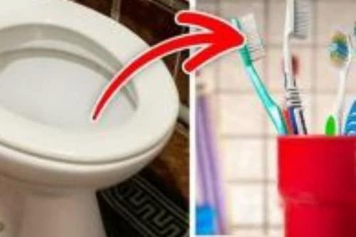 'Đặt bốn thứ vào trong nhà tắm, con cháu không phú quý', là ám chỉ 4 thứ nào? Không phải là vô nghĩa, xem nếu bạn có nó ở nhà