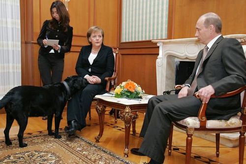 Tổng thống Putin xin lỗi bà Merkel về 'sự cố chó cưng' cách đây 17 năm
