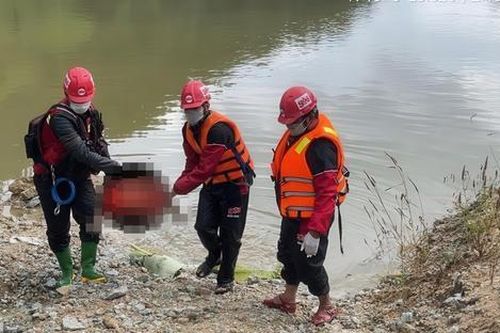 Bé trai 2 tuổi mất tích, 7 ngày sau thi thể được tìm thấy cách nhà 30km