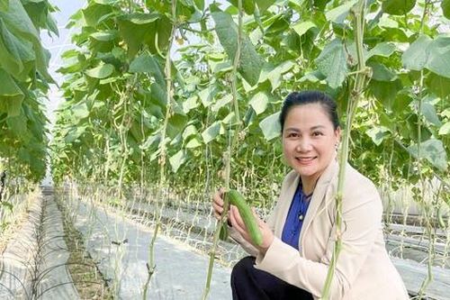 Hải Dương: Tăng cường triển khai Đề án 01