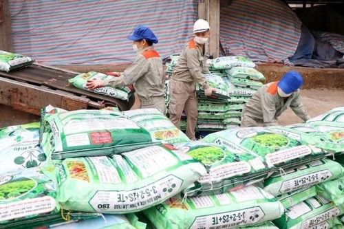 Áp thuế VAT 5%: Quyết sách 'đúng và trúng' tạo đột phá tăng trưởng cho ngành phân bón Việt Nam
