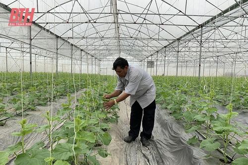 Nhân rộng các mô hình nông nghiệp ứng dụng công nghệ cao