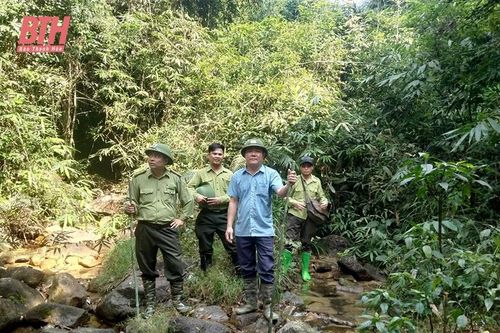 Công tác tuyên truyền góp phần bảo vệ và phát triển rừng bền vững tại huyện Lang Chánh