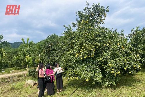 Một số điểm du lịch vẫn còn để khách 'cưỡi ngựa xem hoa'