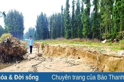 Người dân bất an vì biển xâm thực mạnh