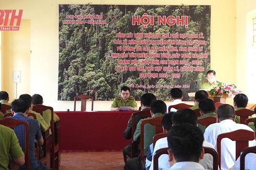 Tăng cường bảo vệ rừng giáp ranh giữa Thanh Hóa - Hòa Bình