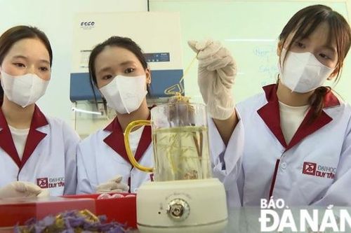 Làm mới và gia tăng giá trị trà thảo mộc