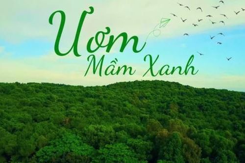 Giải trí cuối tuần