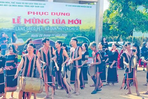 Mừng lúa mới trên cao nguyên