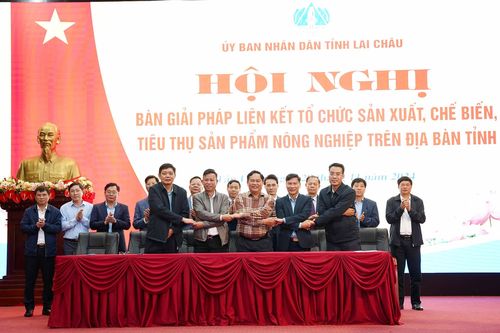 Bàn giải pháp liên kết tổ chức sản xuất, chế biến, tiêu thụ sản phẩm nông nghiệp