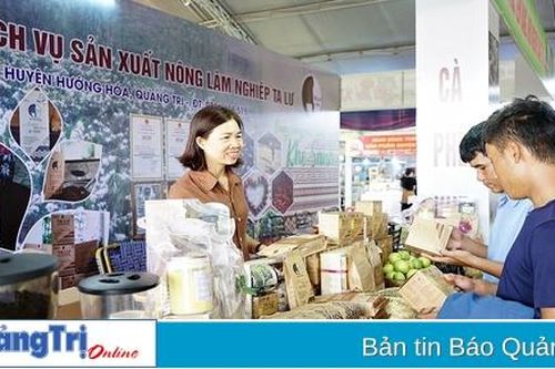 Để cà phê Khe Sanh vươn xa