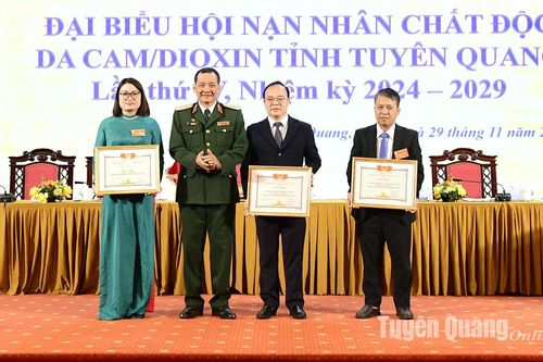 Đại hội đại biểu Hội Nạn nhân chất độc da cam/dioxin lần thứ IV, nhiệm kỳ 2024 – 2029