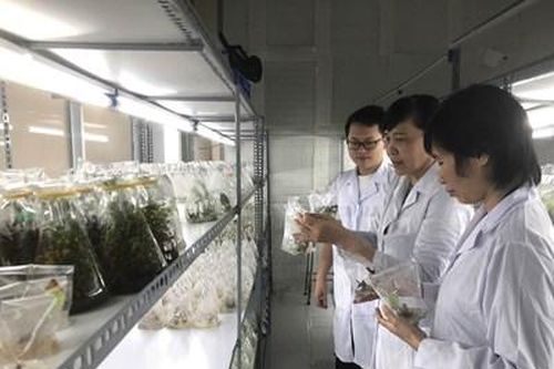 Hướng đến sản xuất xanh