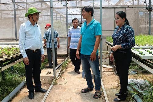 Thành phố Hồ Chí Minh: Du lịch nông nghiệp, nông thôn hỗ trợ xây dựng nông thôn mới hiệu quả