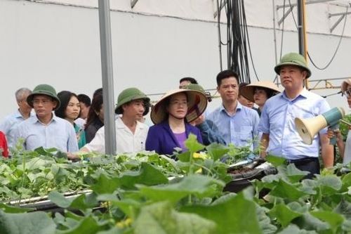 Xây dựng một giai cấp nông dân Hà Nội mang bản sắc riêng, thể hiện tầm vóc Thủ đô