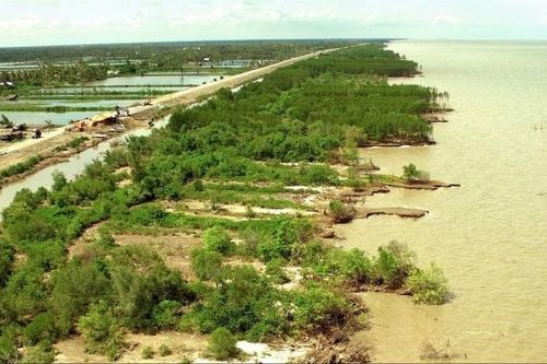 Cà Mau kiến nghị xây dựng đề án riêng về chống sạt sở