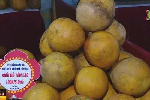 120 gian hàng tham gia 'Tự hào nông sản Việt Nam'