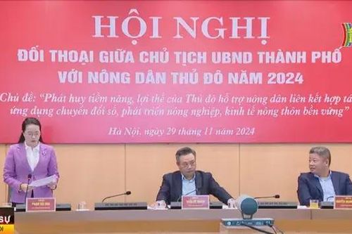 Hỗ trợ nông dân liên kết hợp tác, chuyển đổi số