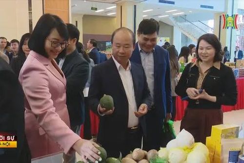 Hơn 1.300 chuỗi nông sản an toàn về Hà Nội