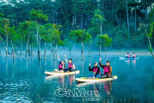 Băng rừng Laan