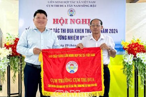 Phấn đấu có ít nhất 50% hợp tác xã hoạt động hiệu quả