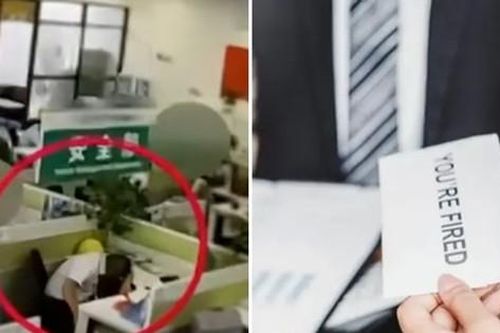 Bị sa thải vì ngủ trong giờ làm việc, nhân viên kiện công ty, được bồi thường lớn