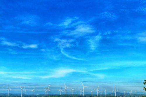 Tất toán 4 lô trái phiếu, dư nợ Phong điện Yang Trung còn bao nhiêu?