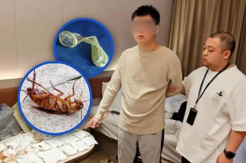 Sinh viên 21 tuổi tống tiền khách sạn bằng gián chết và bao cao su