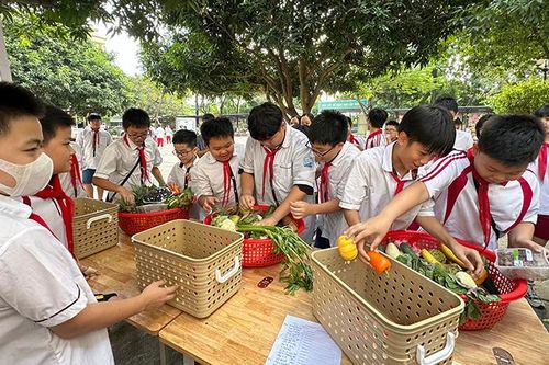 Hướng tới bữa ăn học đường lành mạnh và bền vững
