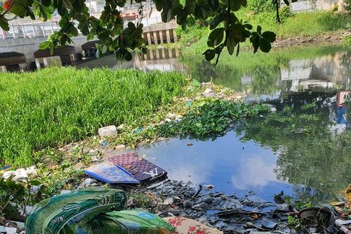 Kịp thời xử lý tình trạng rác thải tràn lan