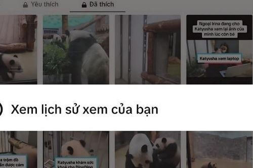 Cách xem lịch sử trên TikTok một cách nhanh chóng nhất