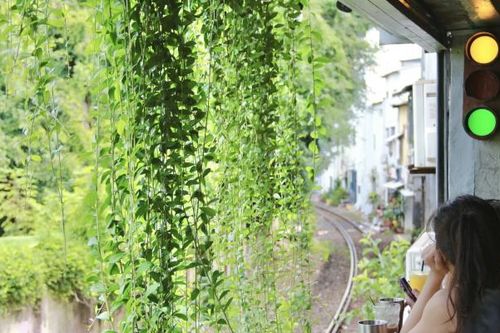 Gần 500 khách Trung Quốc du lịch Nha Trang bằng tàu hỏa