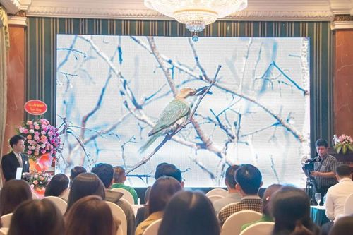 Đổi mới sáng tạo trong truyền thông để bảo vệ động vật hoang dã