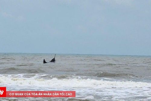 Ứng cứu nhiều ngư dân đang đánh bắt cá bị sóng đánh chìm