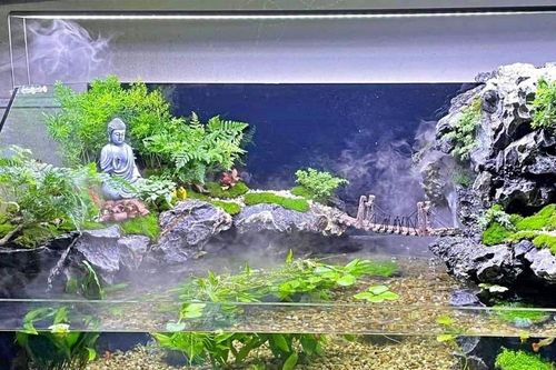 Người đàn ông mắc bệnh lạ từ thú vui chăm cá cảnh