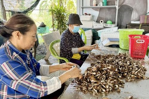 Thị trường lớn tiêu thụ nông sản