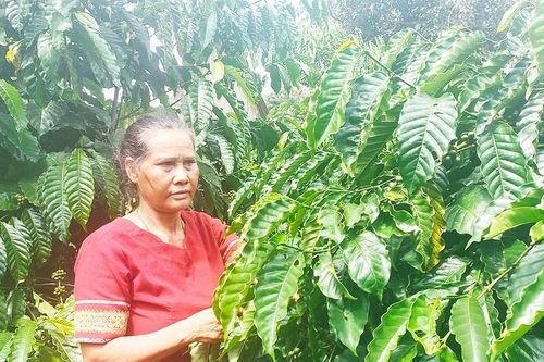 Cổ tích từ con chữ