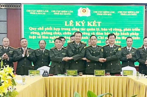 Đánh giá công tác phối hợp quản lý rừng vùng giáp ranh năm 2024