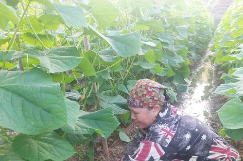 Chuyển gần 14 tỷ đồng cho các địa phương, đơn vị khắc phục hậu quả thiên tai