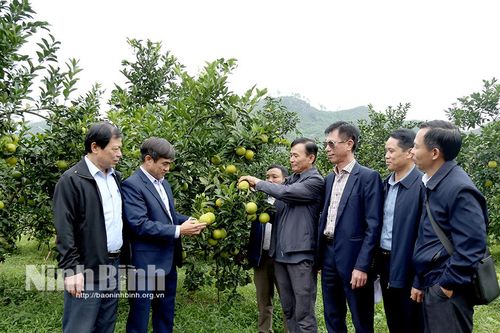 Tập huấn, bồi dưỡng nâng cao năng lực cho cán bộ làm công tác xây dựng nông thôn mới