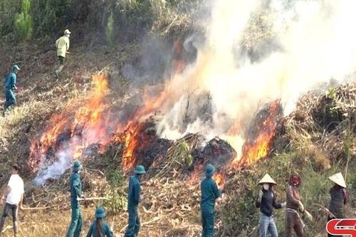 Diễn tập phương án ứng phó cháy rừng và tìm kiếm cứu nạn xã Ngọc Chiến năm 2024