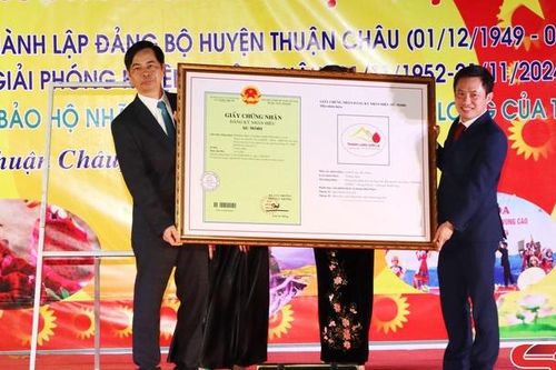 Công bố văn bằng bảo hộ nhãn hiệu sản phẩm Thanh long của tỉnh Sơn La
