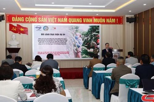 Khai thác sử dụng nhãn hiệu chứng nhận 'Thanh long Sơn La'