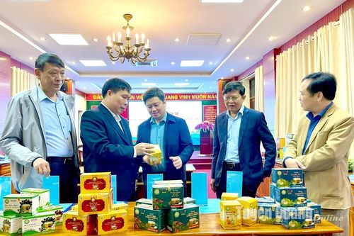 Góp phần nâng tầm thương hiệu sản phẩm