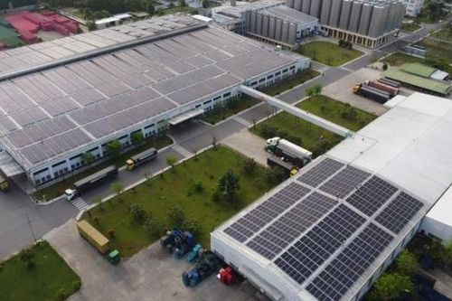 Đẩy mạnh ESG, năm 2024 SABECO tiếp tục là một trong các doanh nghiệp phát triển bền vững hàng đầu tại Việt Nam