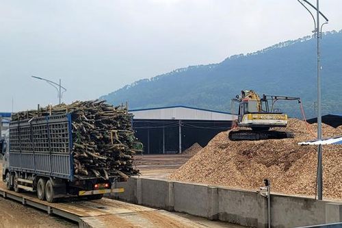 Bất nhất trong xử lý các cơ sở băm dăm trái phép tại Hà Tĩnh
